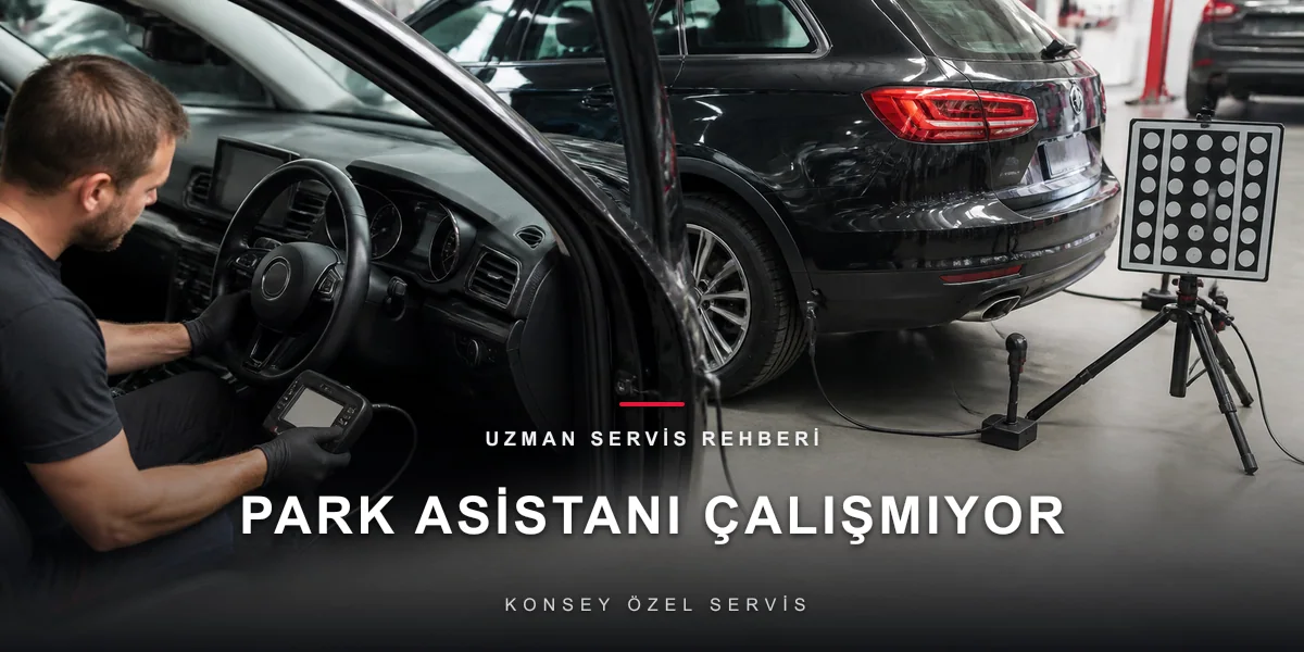 Park Asistanı Çalışmıyor: Direksiyonu Neden Bırakıyor?