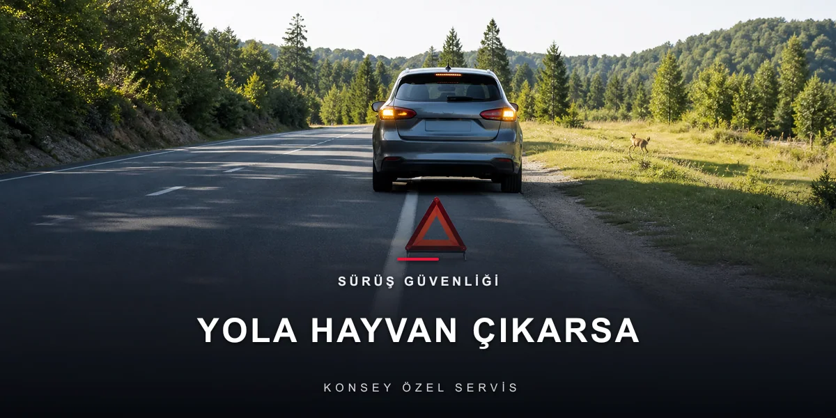 Yola Hayvan Çıkarsa: Fren mi Manevra mı? Gerçek Fizik