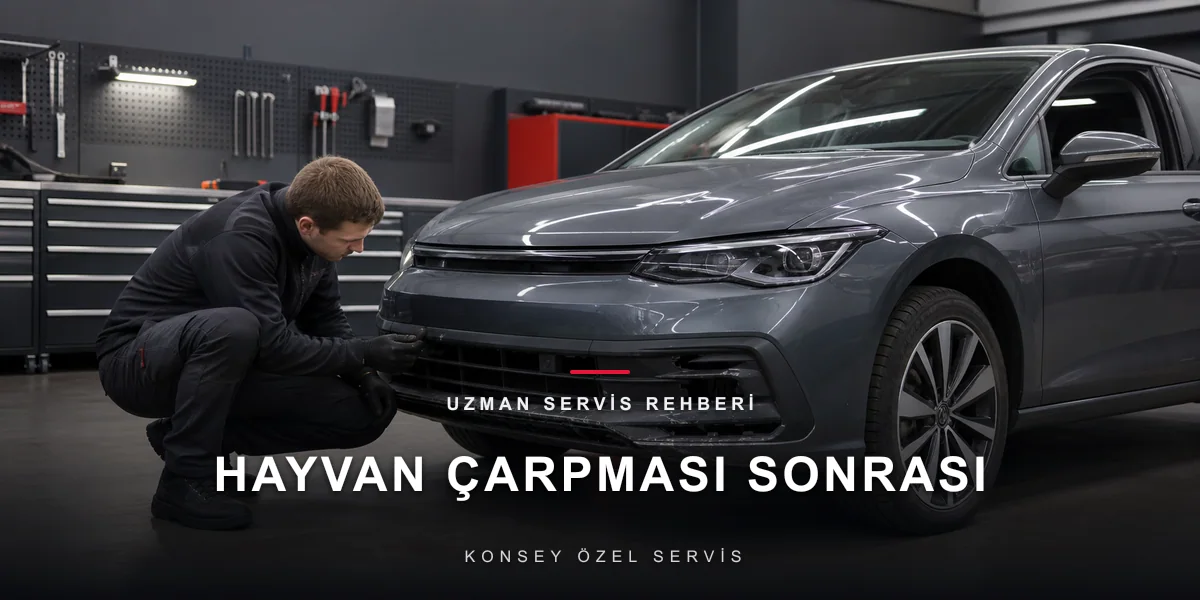 Hayvan Çarpması Sonrası: İlk Kontroller, Kasko ve Gizli Hasarlar için Konsey Özel Servis görseli