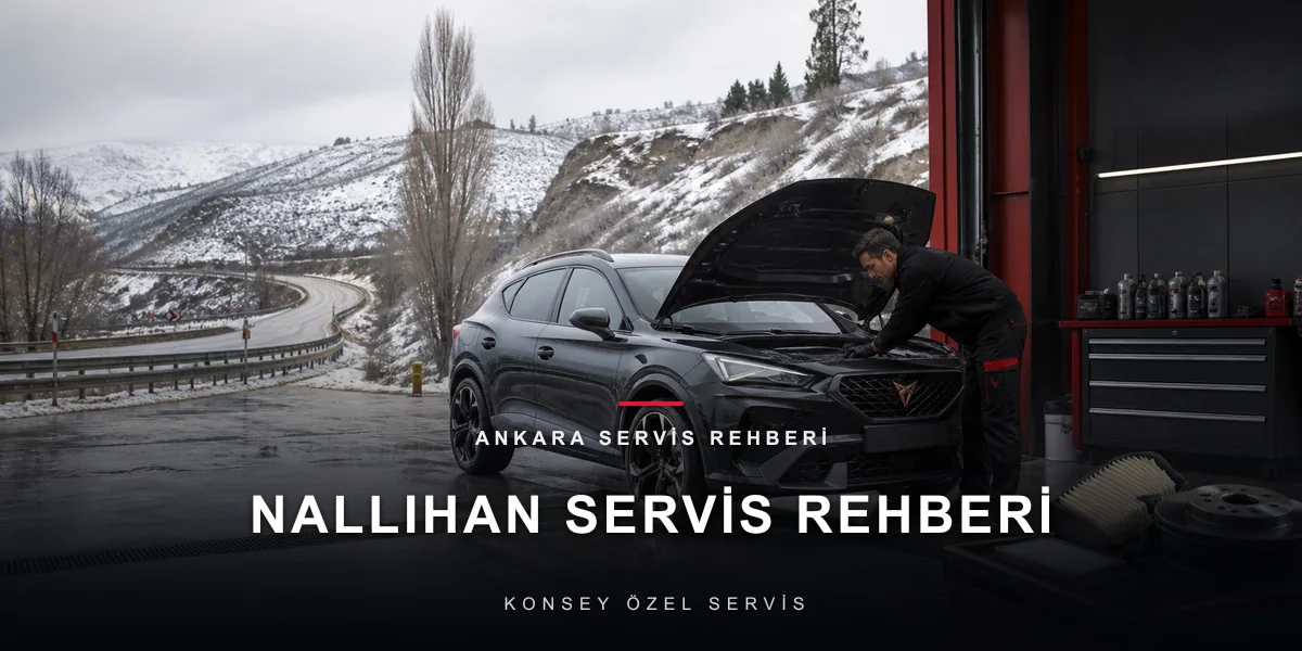 Nallıhan'dan Ankara'ya Bakım: Uzun Yol Öncesi Birleşik Plan için Konsey Özel Servis görseli