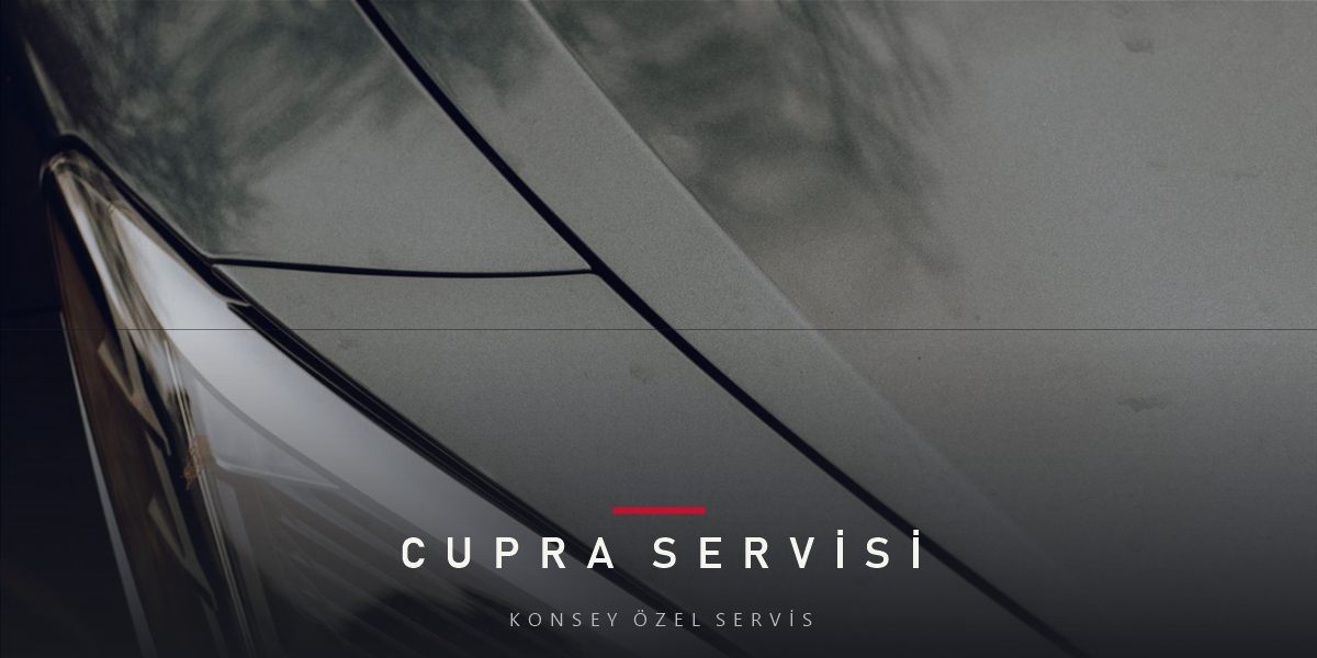 Ankara'da Cupra Servisi: Performansın Doğru Bakımı