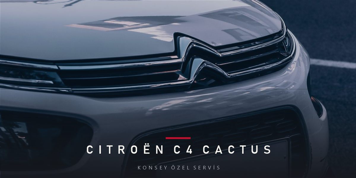 Citroën C4 Cactus Bakım Rehberi