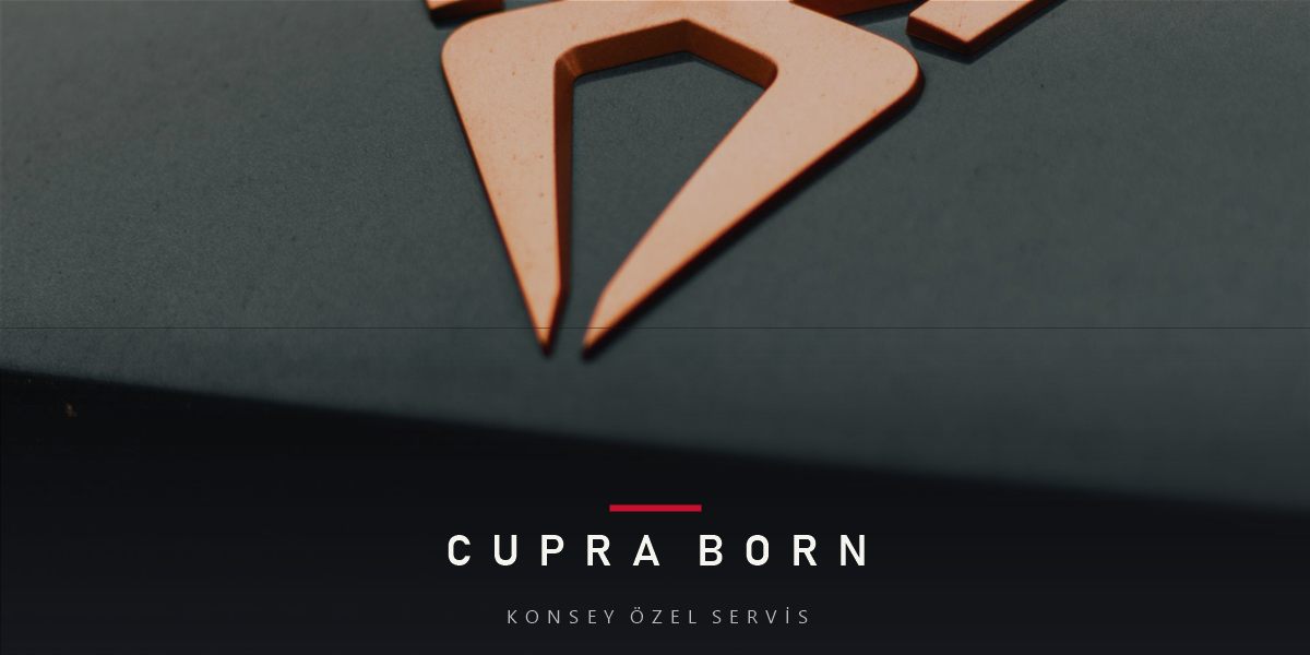 Cupra Born Elektrikli Bakım Rehberi