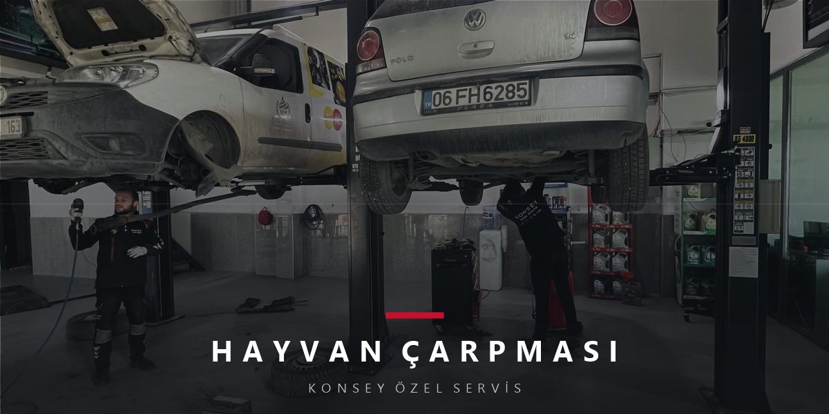 Hayvan Çarpması Sonrası: İlk Kontroller, Kasko ve Gizli Hasarlar