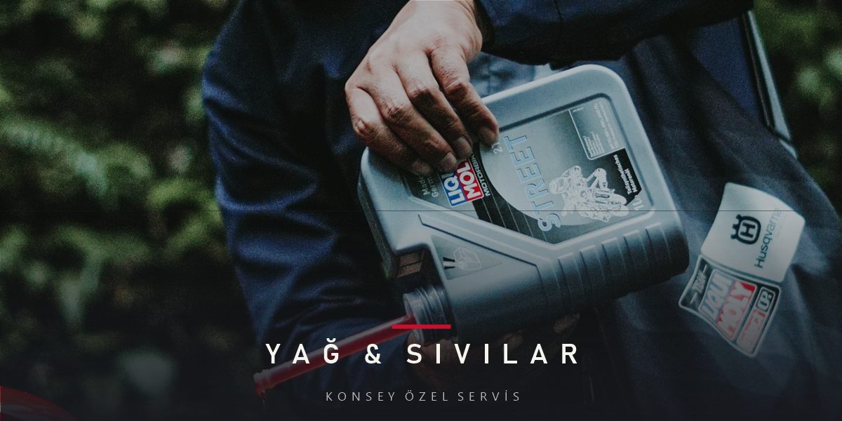 Longlife Bakım Nedir? 30.000 Km Efsanesi ve Türkiye Gerçeği