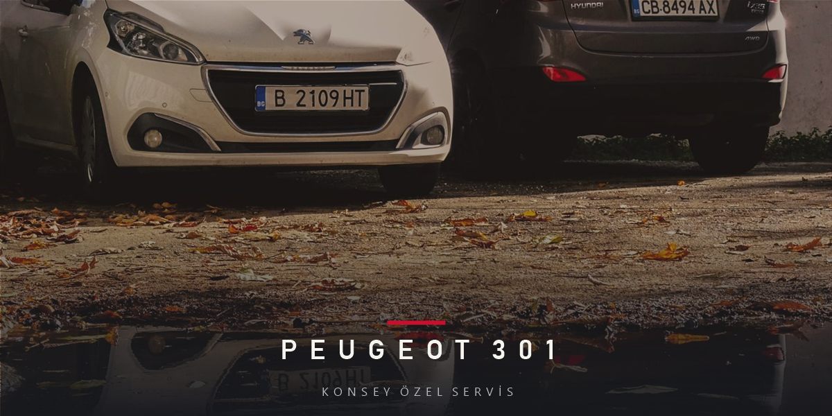 Peugeot 301 Bakım Rehberi