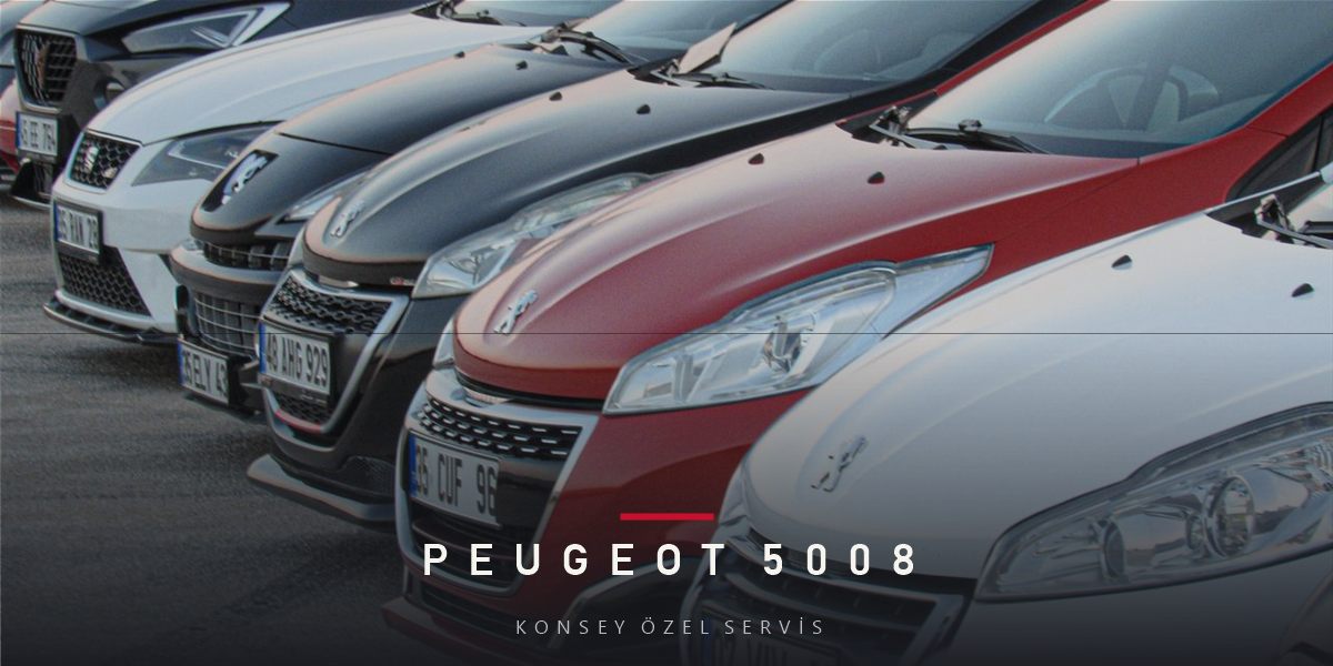 Peugeot 5008 Bakım Rehberi