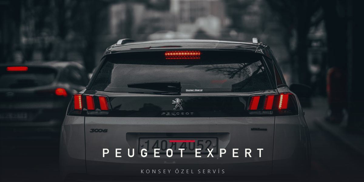 Peugeot Expert Bakım Rehberi