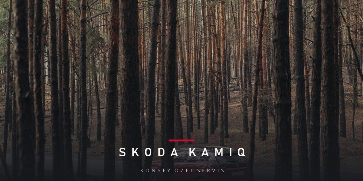 Skoda Kamiq Bakım Rehberi