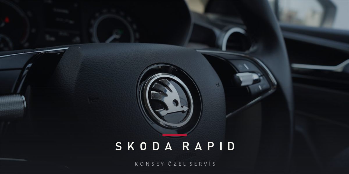 Skoda Rapid Bakım Rehberi