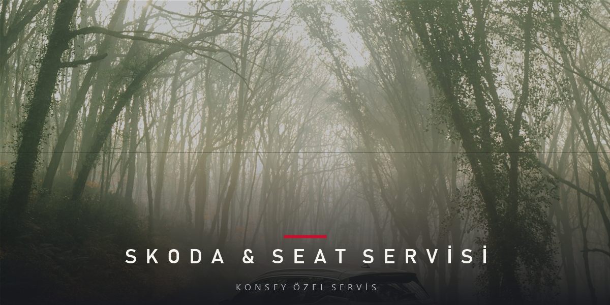 Yenimahalle'de Skoda ve Seat Servisi: Ortak Platform Avantajı