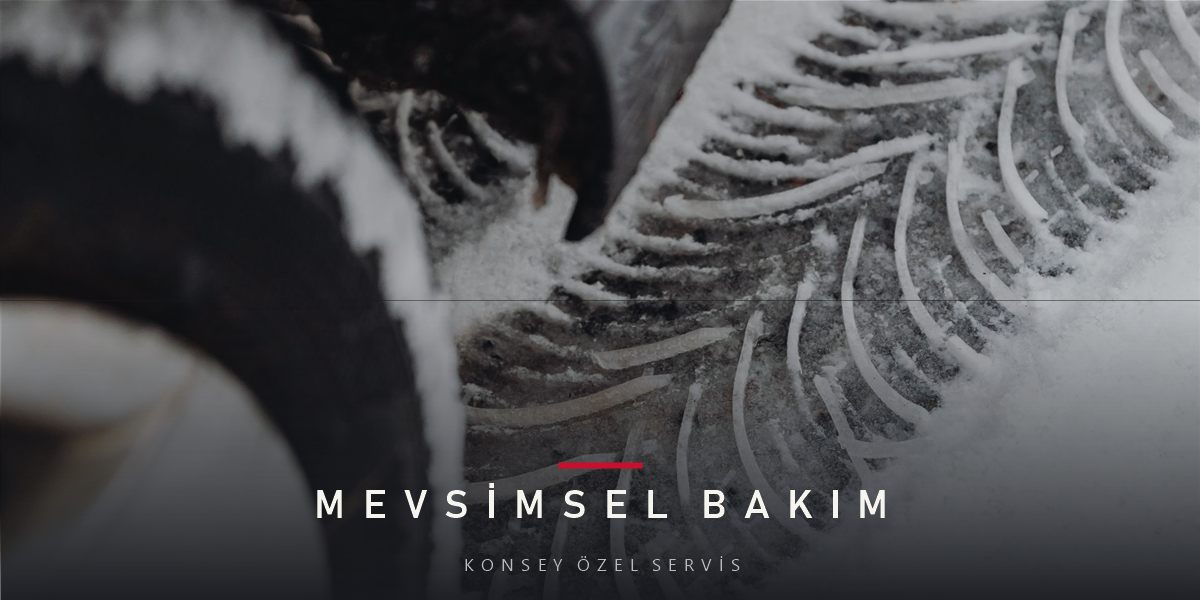 Sonbahar Bakımı: Yağmur ve Yaprak Sezonu