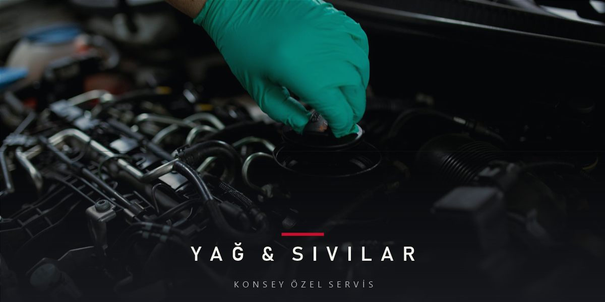 Yağ Çubuğu Nasıl Okunur? Seviye ve Renk Rehberi